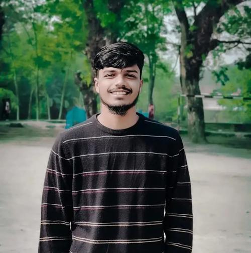 Niloy Ahmed 